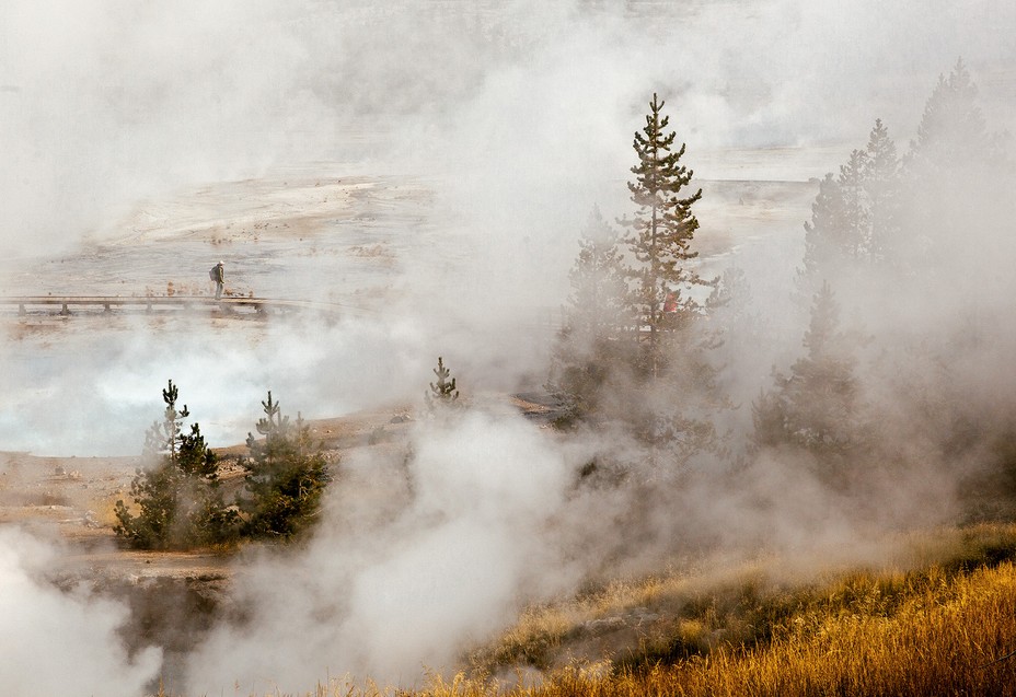 photo of trees, hot springs, boardwalk, and steam