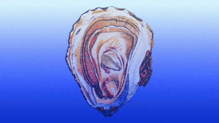 A gif of an oyster fades and disappears, against a blue background