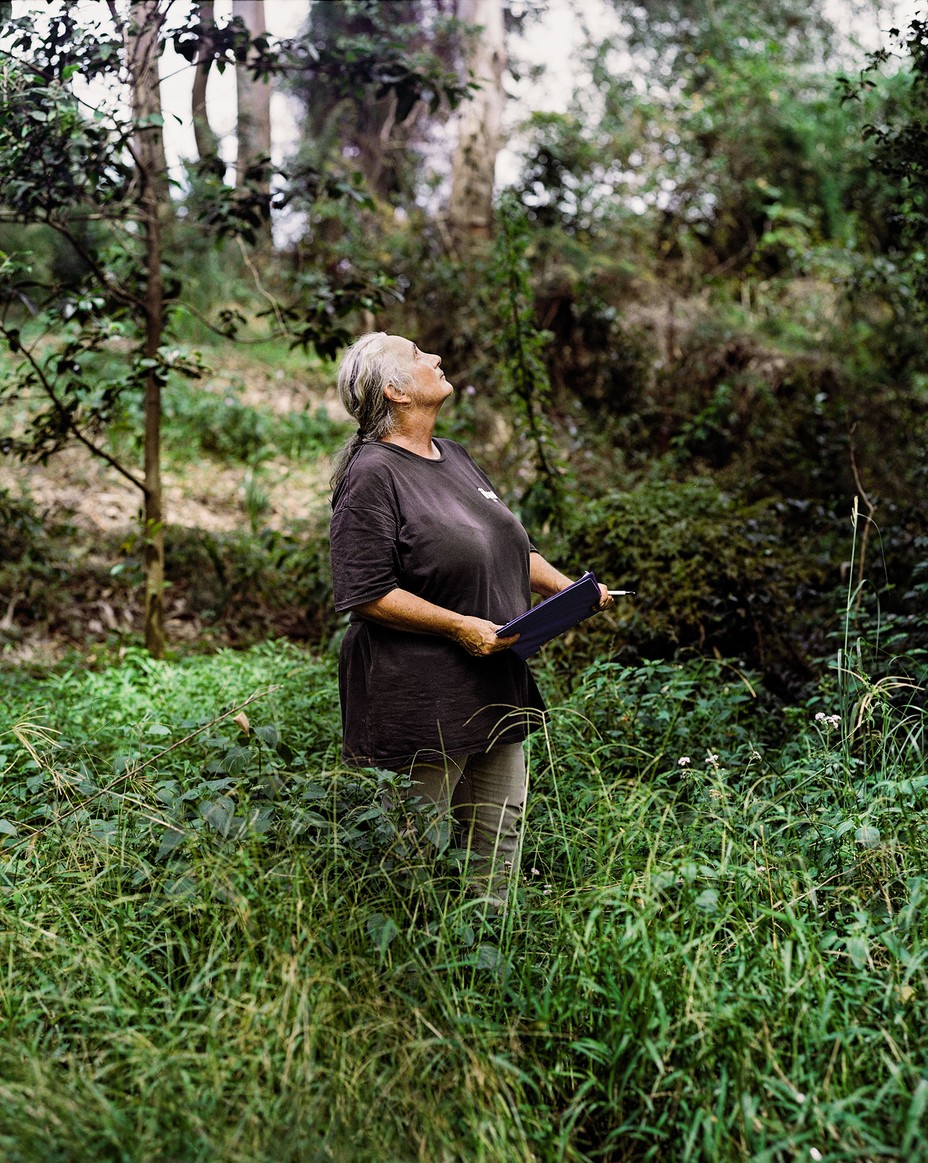 photo of woman standing in tall plants in forest looking up into trees holding clipboard