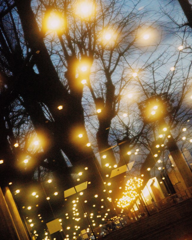 lights inside a building shine through a window, on which a tree and blue sky are reflected