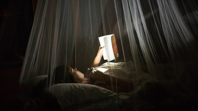 A girl reads at night under mosquito netting