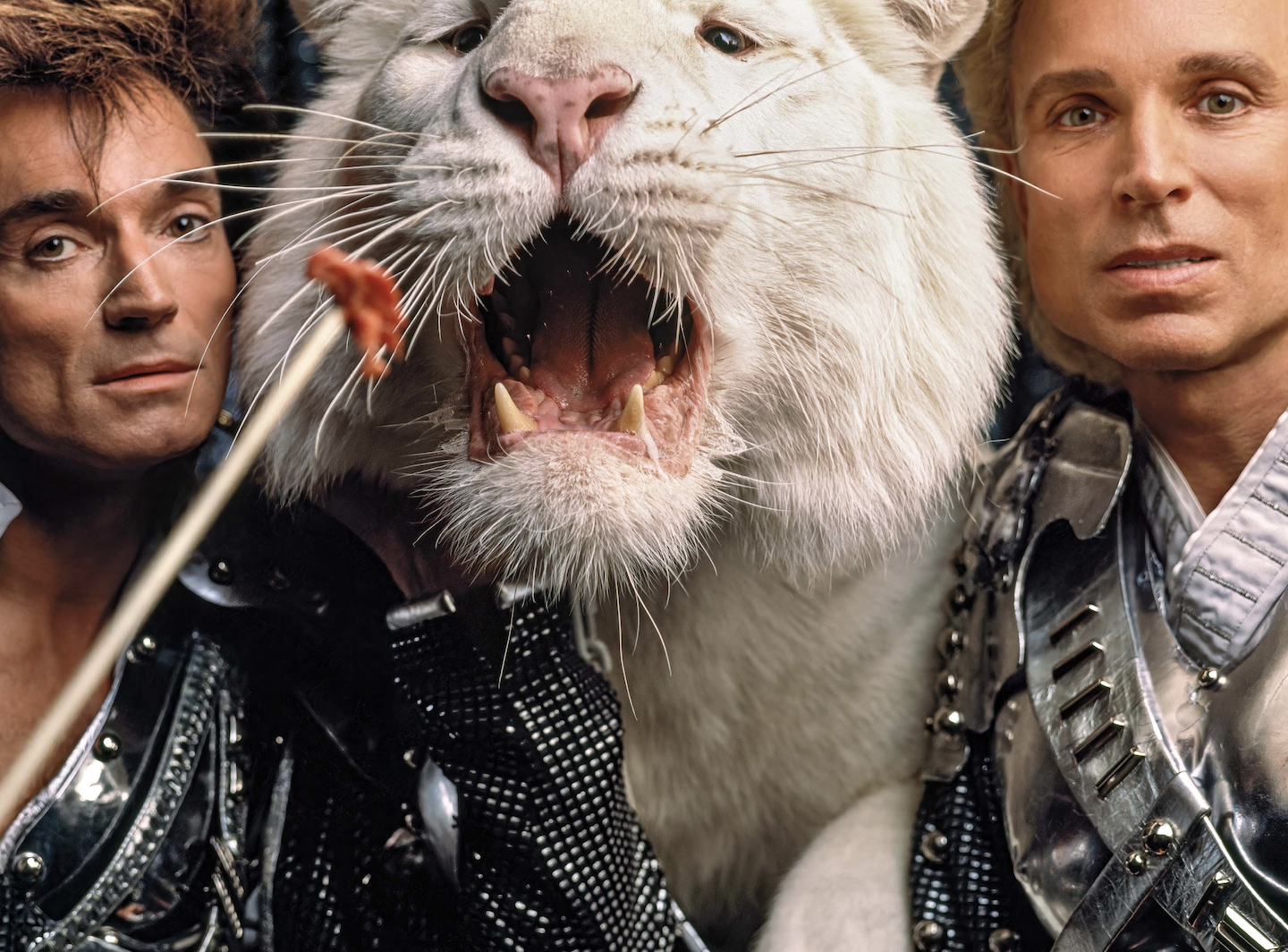 A photograph of Siegfried & Roy feeding a white tiger