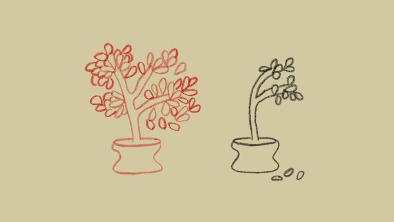 crayon sketch of a thriving red potted plant and a dying black potted plant, side by side