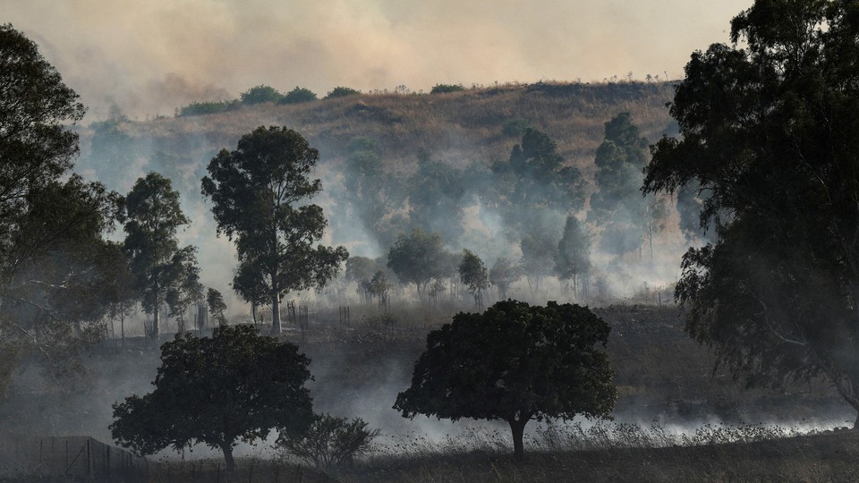 Smoke in trees