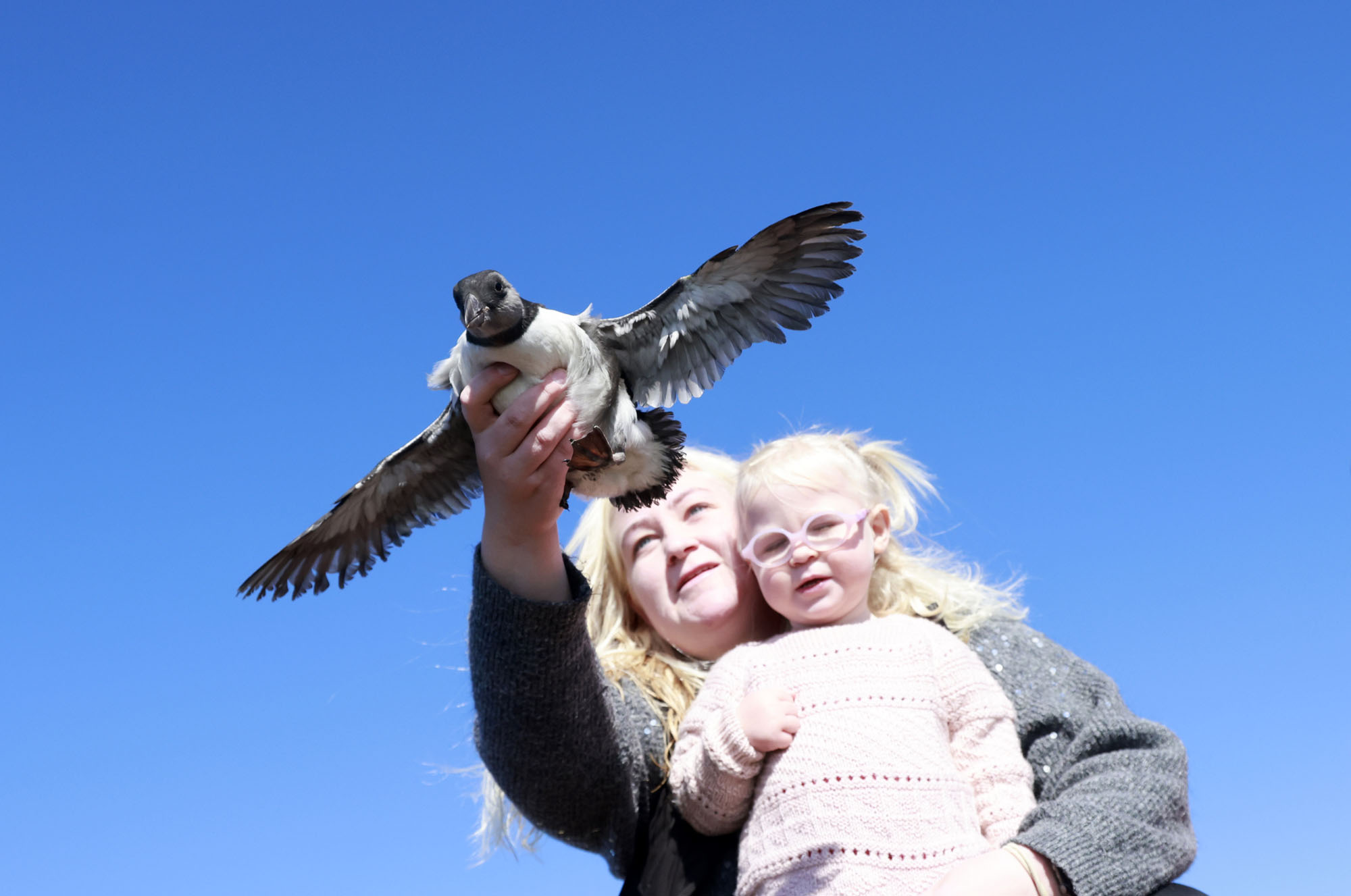 A caretaker and a young child release a puffling.