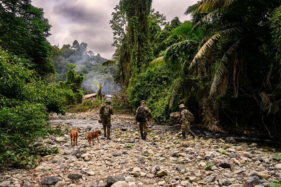 Foto de tres soldados uniformados y dos perros caminando por el lecho rocoso de un arroyo con la selva a ambos lados y estructuras en la distancia, con humo de fogata