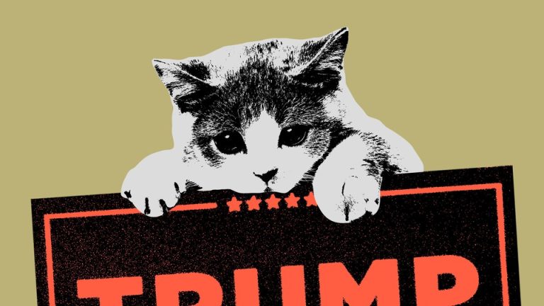 Graphic illustration of a cat hanging onto a Trump sign