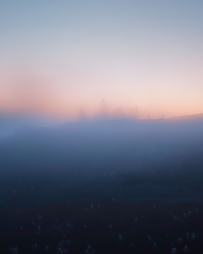 a soft, foggy pink and blue landscape of a field with trees in the distance