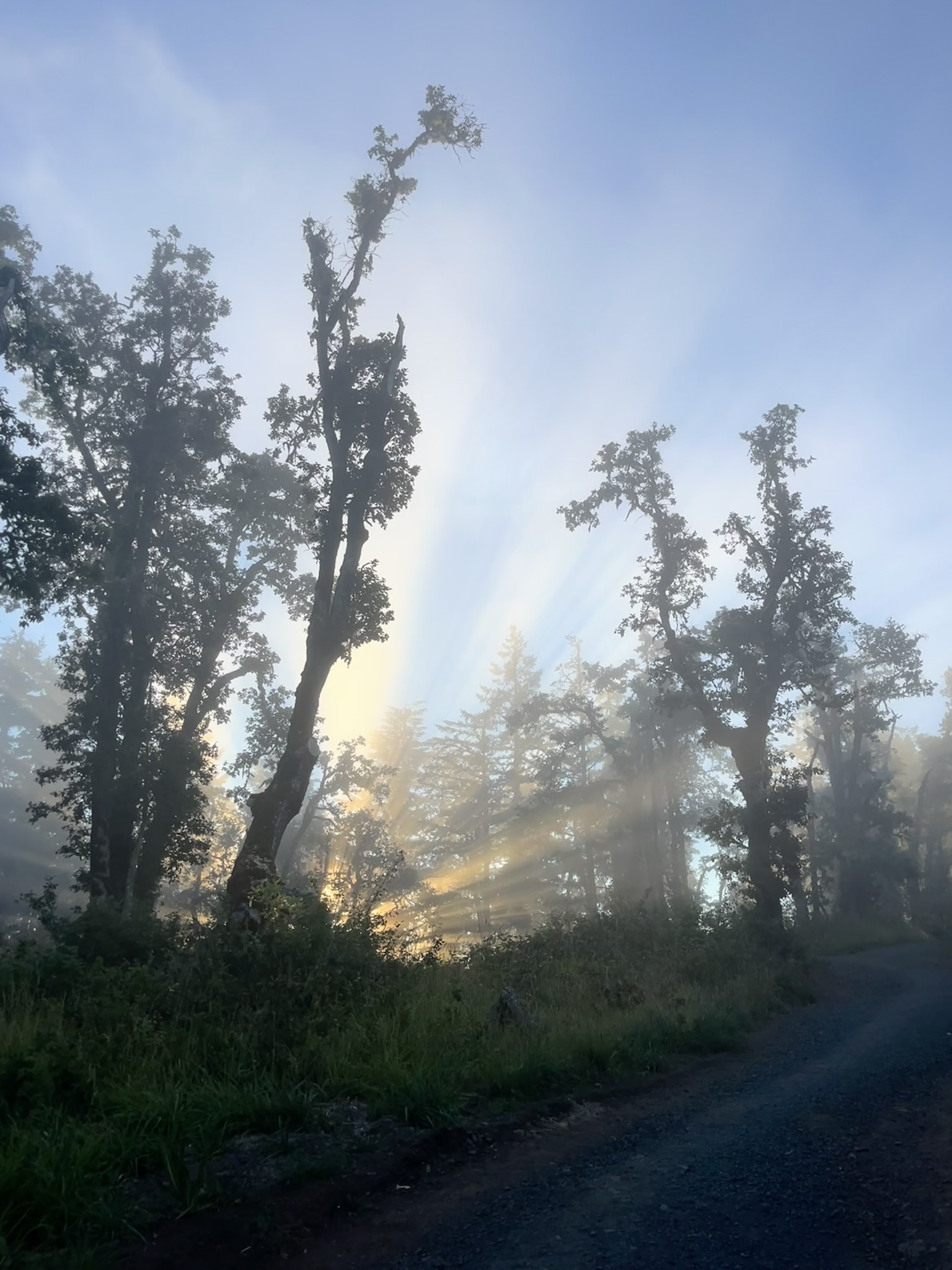 Image of a sunrise