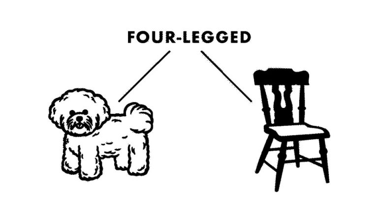 A diagram of the word "four-legged" pointing to a dog and a chair