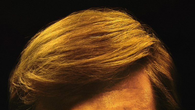 An image of Sebastian Stan's (as Donald Trump) hair.