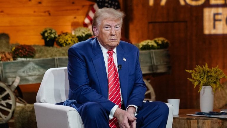 Donald Trump sits for a Fox News interview