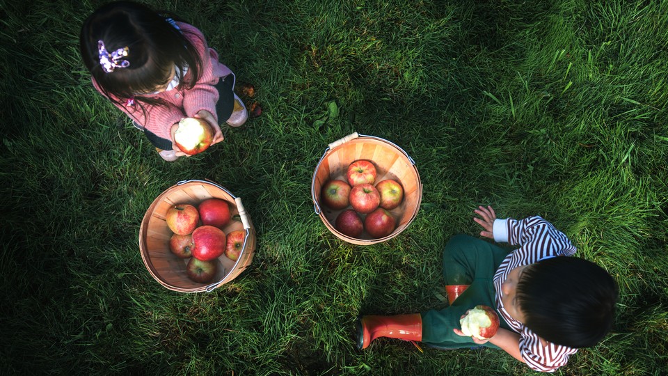 Two children sit on the grass next to two buckets of apples