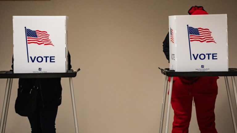 Two voters stand at polling booths