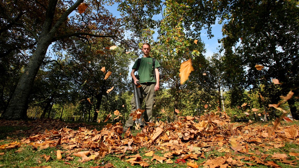 Photo from ground level of a man blowing fallen leaves