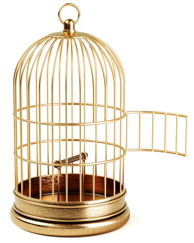 A golden birdcage with an open door