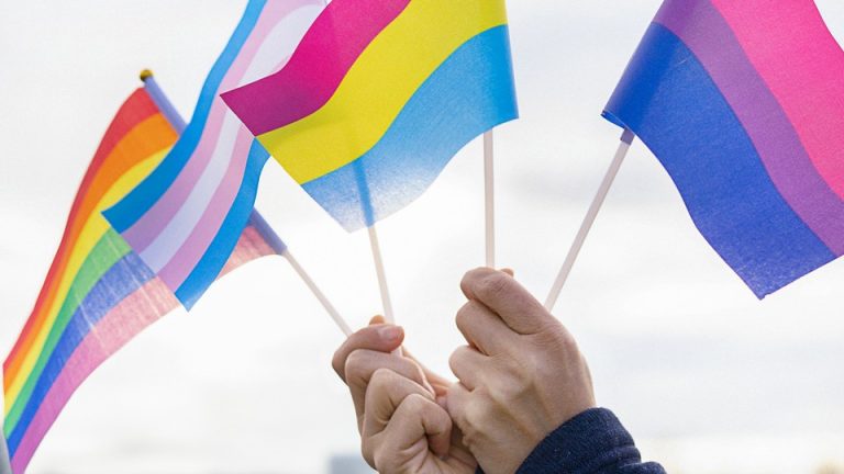 Image of hands holding a pride flag, bisexual pride flag, transgender flag, and pansexual flag