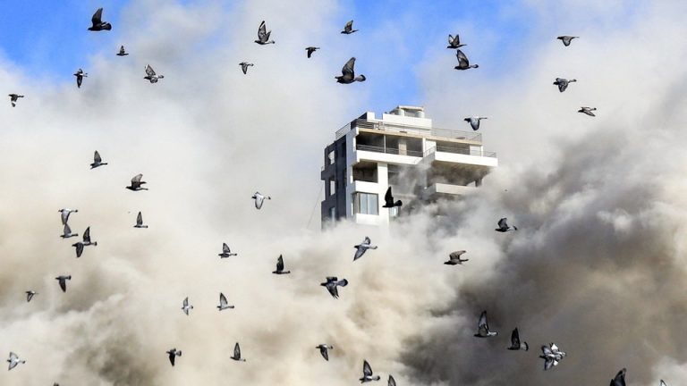 Pigeons fly away after an Israeli rocket hit a building in Beirut