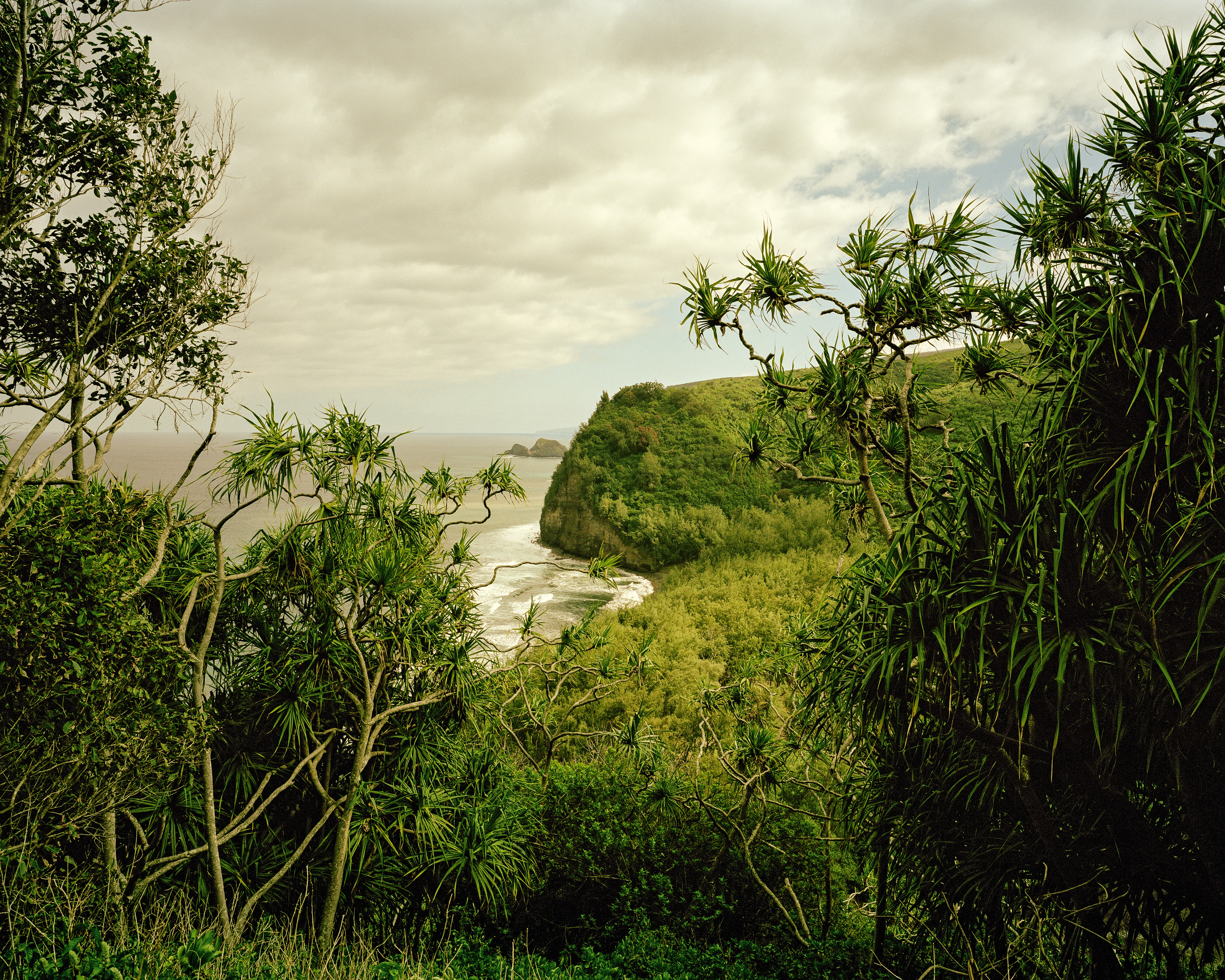 photo of lush green landscape with trees surrounding view of cliff and ocean inlet, with gray clouded sky