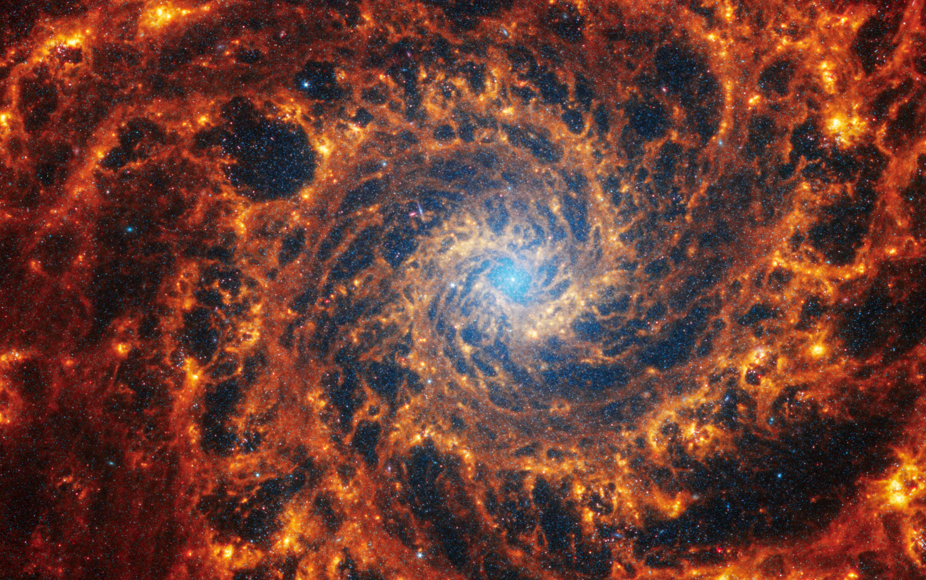 A tight view of a face-on spiral galaxy anchored by a central region that has a light blue haze, surrounded by complex orange-colored spiral arms