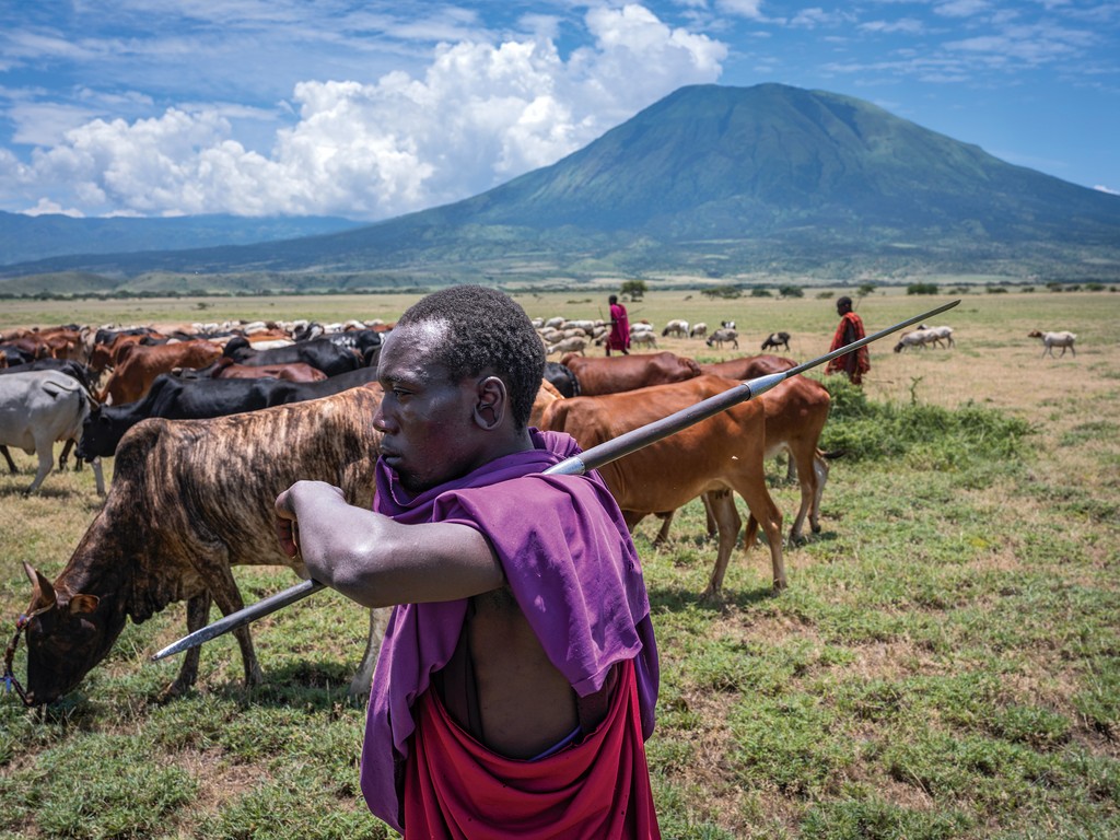 NZTZA_240301_Maasai004_.jpg