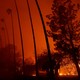 A line of palm trees against an orange sky resulting from flames along the ground in L.A.