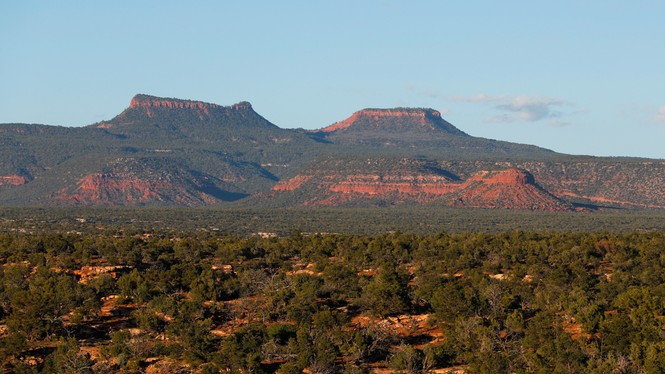 A landscape view of Bears Ears buttes in Utah with a foreground of green foliage under a clear blue sky.